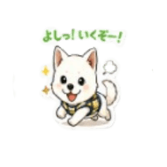 Kotarou 8years old_20260509115736