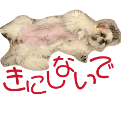 Chaco_0403