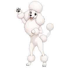 Standard Poodle's Daily Life