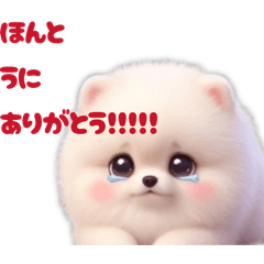 seeing_20260509231042