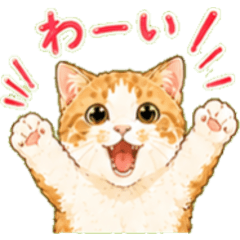 Fluffy Tabby Cat Sticker Pack