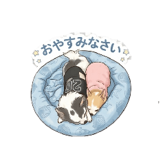 Mochakoro_20260509111112
