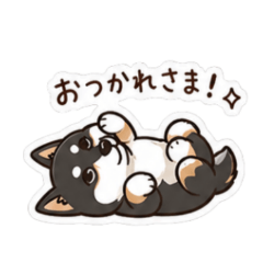 rassy1107_20260509101615