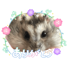 airi_20260509120829