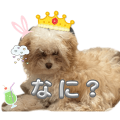 tete_20260509120313