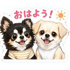 azu_20260509120848