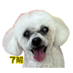 taichi_20260509121559