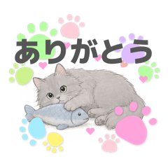 Blue Tabby Cat_20260509121209