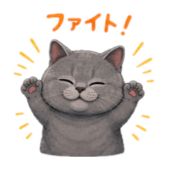 BURI_20260509121721
