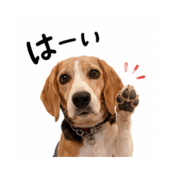 moyashimoyashi