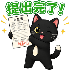 Black Cat Tax Accountant