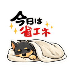 hirochin_20260509233100