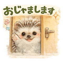 The feelings of a Hedgehog