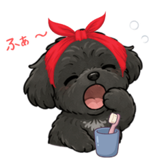 Gentle Black Dog Cute Everyday
