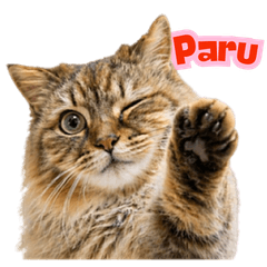 Paru: Family Photo Stickers 1