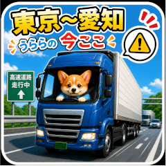 Urara (Corgi)'s Current Location