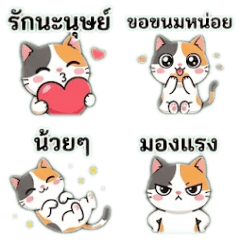 Cute Cat Lover 45