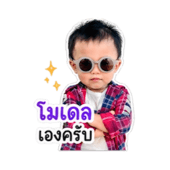 Netnapa_20260428161722