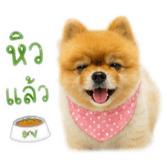 Toong-ngern_20260428162025