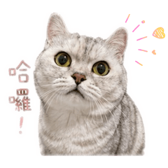 娜娜。小胖胖