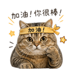 糯米開心爬山趣