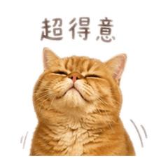 麻糬的表情符號