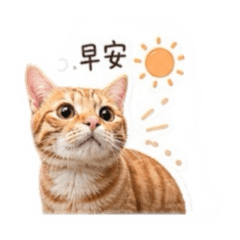 Cooper日常生活用語