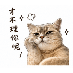 哈吉米是隻喵