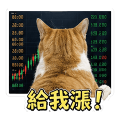 蛋塔股神傳奇