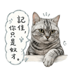 三隻小喵-霸氣用語