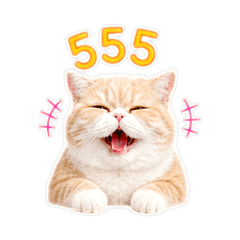 Faifu_candycat