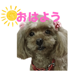 Popo's daily life 1