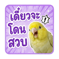 Cute Yellow Forpus V.1