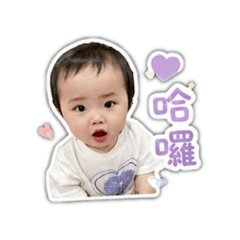 我的薇薇公主