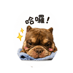 可愛控肉寶貝