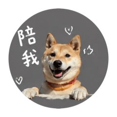 小Q❤️