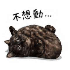 李家千金-Uni日常篇