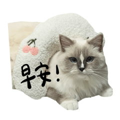 我是布魯～
