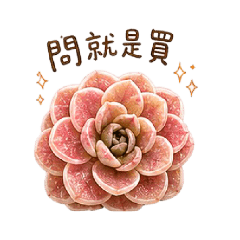 花錢專用