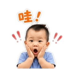 小熊熊的快樂生活