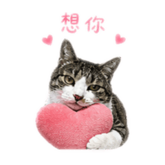五金小公主的寶貝妹妹