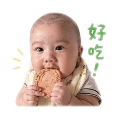 小豬仔宸宸の日常