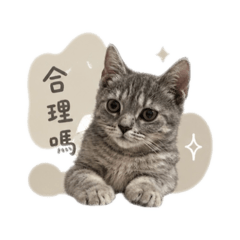 沐名其妙
