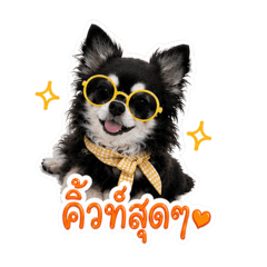Porsche the dog V.2