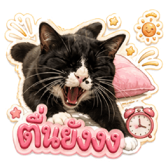 Den the Chaotic Cat