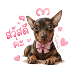 MooWhanCute