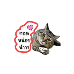 P'NUBTANG