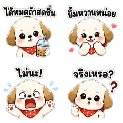 Fluffy Pup: Everyday Hits