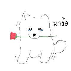 bokbaek_20260510143140