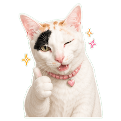 Ma-OO Naughty Cat_Work Mode